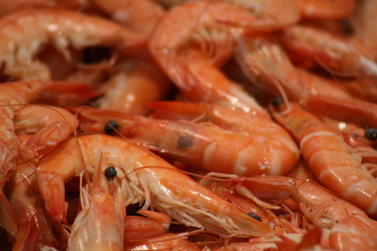 fotografia-productos-sevilla-fotoevento